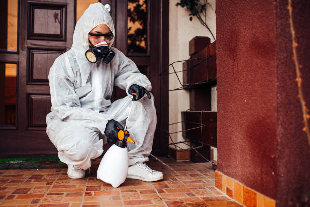 Attic and Crawl Space Rodent Treatment in Stone Ridge