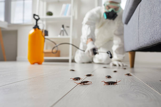 Commercial Rodent Management in Stone Ridge